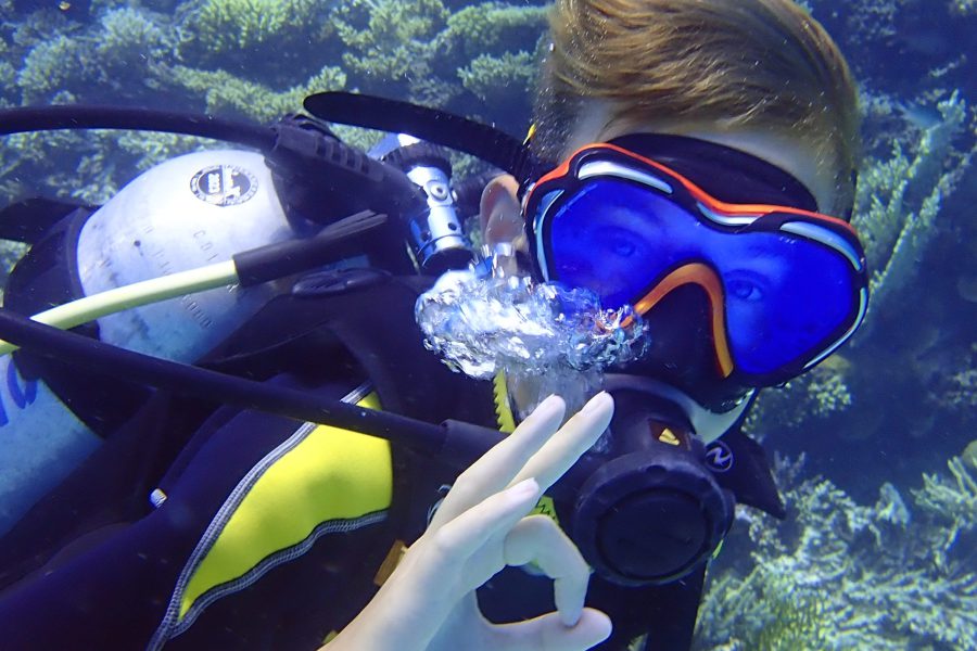 Große Bootstour professionelles Tauchen